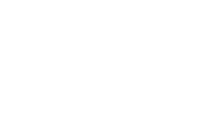 MSP_US_2025_white