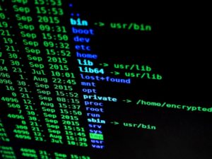 Cyber Security Companies Portland Oregon