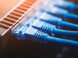 Why Is My WiFi Not Connected to the Internet, But Wired PCs Are?