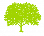 Essential Estate Planning